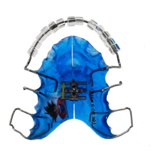 Placas Castillo Morales