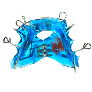 SIMOES NETWORK 1 -Orthorich